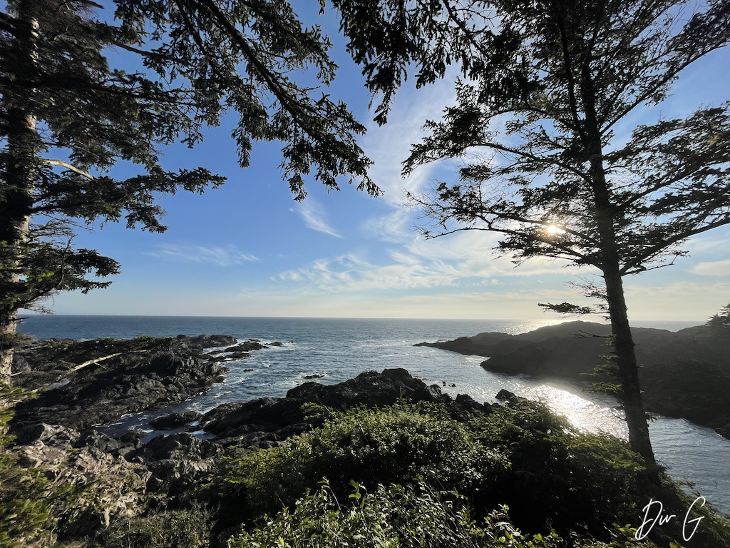Tofino